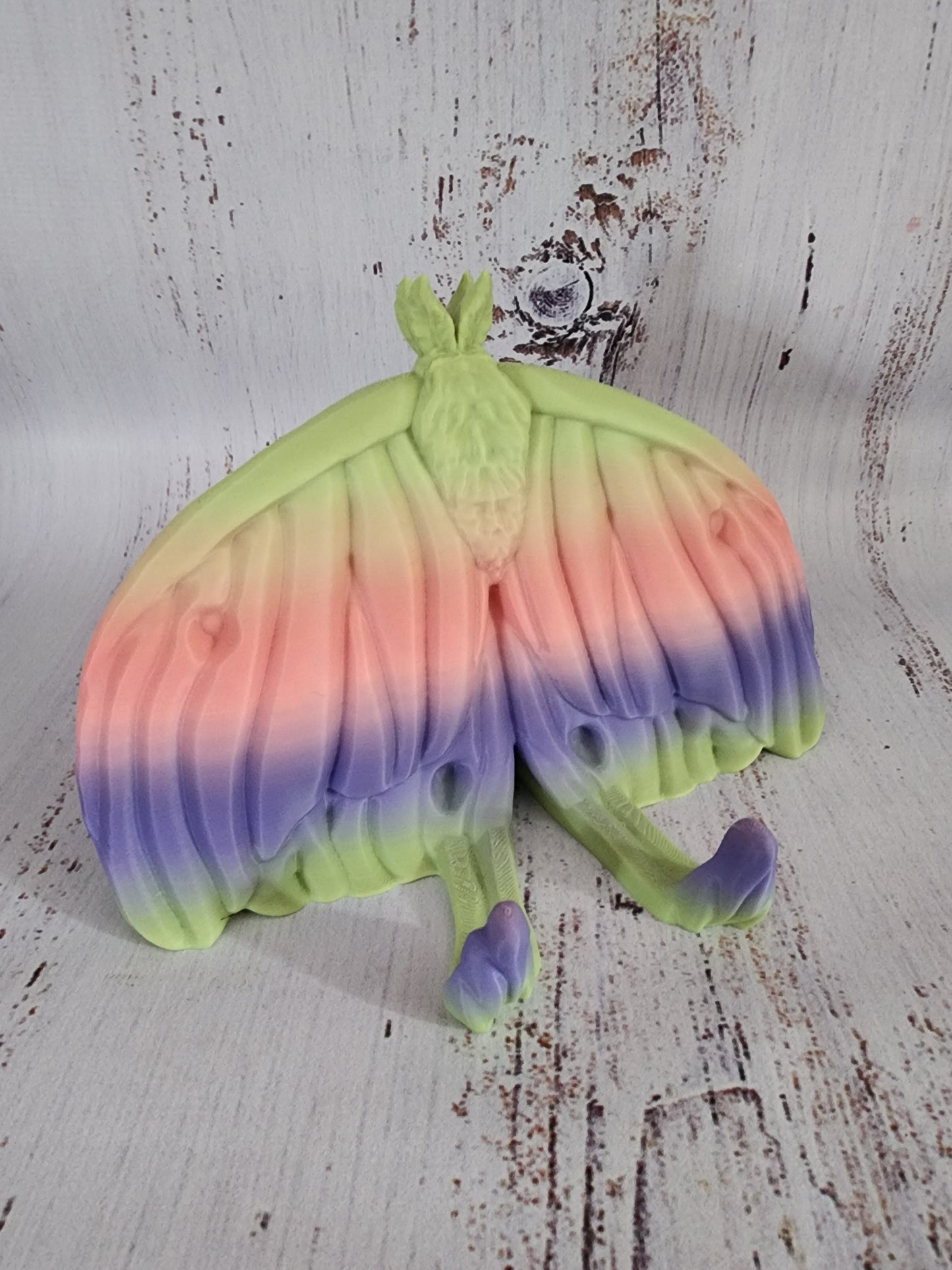 Luna Moth Kindle Holder