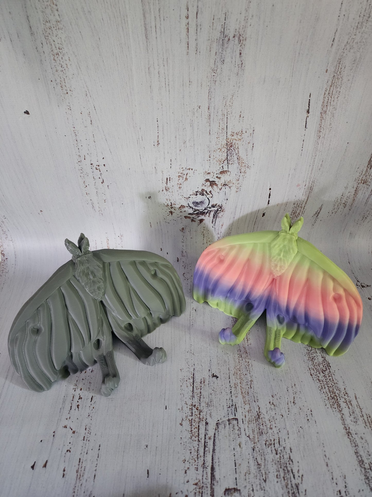 Luna Moth Kindle Holder